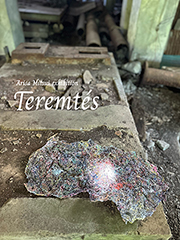 Arisa Mitsui exhibition【Teremtés】